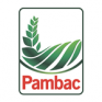 pambac